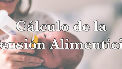 cmo calcular la pensin alimenticia despus de un divorcio en espaa